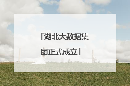 湖北大数据集团正式成立