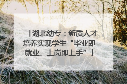 湖北幼专：新质人才培养实现学生“毕业即就业、上岗即上手”
