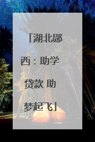 湖北郧西：助学贷款 助梦起飞