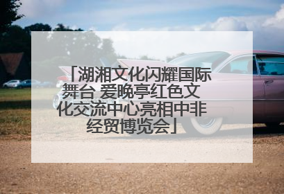 湖湘文化闪耀国际舞台 爱晚亭红色文化交流中心亮相中非经贸博览会