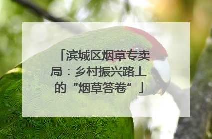 滨城区烟草专卖局：乡村振兴路上的“烟草答卷”