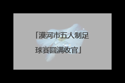 漠河市五人制足球赛圆满收官