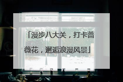 漫步八大关，打卡蔷薇花，邂逅浪漫风景
