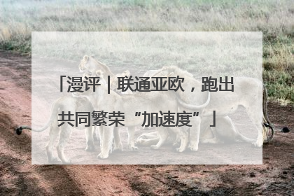 漫评｜联通亚欧，跑出共同繁荣“加速度”