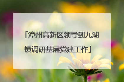 漳州高新区领导到九湖镇调研基层党建工作