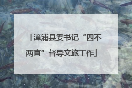 漳浦县委书记“四不两直”督导文旅工作
