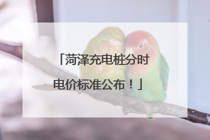 菏泽充电桩分时电价标准公布！