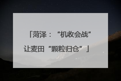 菏泽：“机收会战”让麦田“颗粒归仓”