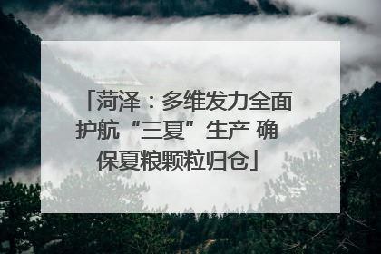 菏泽：多维发力全面护航“三夏”生产 确保夏粮颗粒归仓