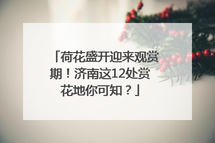 荷花盛开迎来观赏期！济南这12处赏花地你可知？