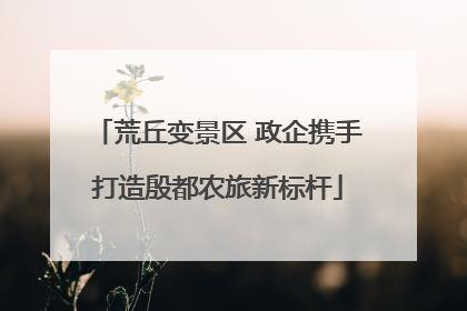 荒丘变景区 政企携手打造殷都农旅新标杆