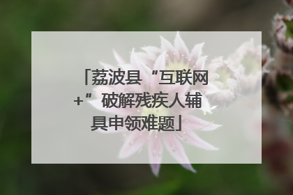 荔波县“互联网+”破解残疾人辅具申领难题