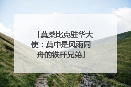 莫桑比克驻华大使：莫中是风雨同舟的铁杆兄弟