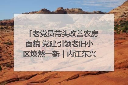 老党员带头改善农房面貌 党建引领老旧小区焕然一新｜内江东兴“红”在哪？④