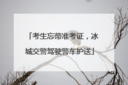 考生忘带准考证，冰城交警驾驶警车护送