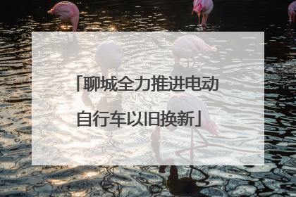 聊城全力推进电动自行车以旧换新