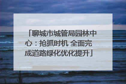 聊城市城管局园林中心：抢抓时机 全面完成道路绿化优化提升