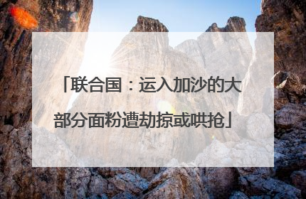 联合国：运入加沙的大部分面粉遭劫掠或哄抢