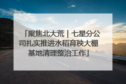聚焦北大荒｜七星分公司扎实推进水稻育秧大棚基地清理整治工作
