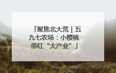 聚焦北大荒｜五九七农场：小樱桃带红“大产业”
