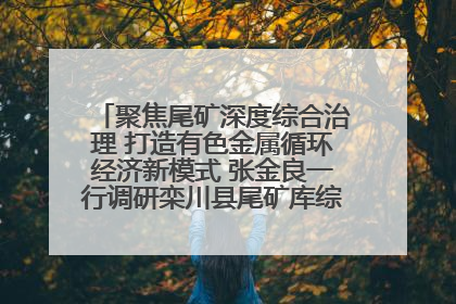 聚焦尾矿深度综合治理 打造有色金属循环经济新模式 张金良一行调研栾川县尾矿库综合治理工作
