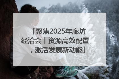 聚焦2025年廊坊经洽会丨资源高效配置，激活发展新动能