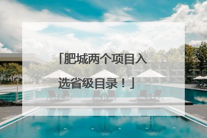 肥城两个项目入选省级目录！