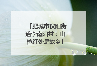 肥城市仪阳街道李南阳村：山楂红处是故乡