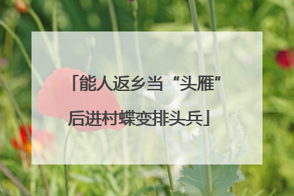 能人返乡当“头雁” 后进村蝶变排头兵