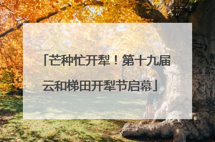 芒种忙开犁！第十九届云和梯田开犁节启幕