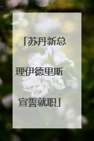 苏丹新总理伊德里斯宣誓就职
