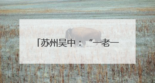 苏州吴中：“一老一小”共享浓情端午