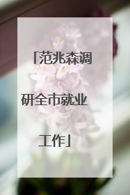 范兆森调研全市就业工作