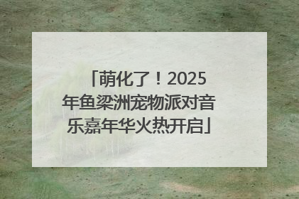 萌化了！2025年鱼梁洲宠物派对音乐嘉年华火热开启