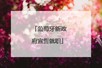 葡萄牙新政府宣誓就职