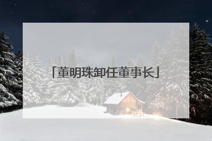 董明珠卸任董事长