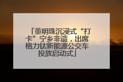 董明珠沉浸式“打卡”宁乡非遗，出席格力钛新能源公交车投放启动式