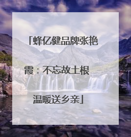 蜂亿健品牌张艳霞:不忘故土根 温暖送乡亲