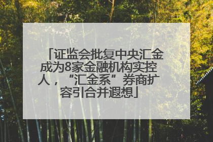 证监会批复中央汇金成为8家金融机构实控人，“汇金系”券商扩容引合并遐想