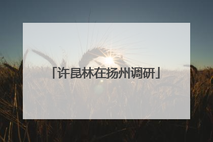 许昆林在扬州调研