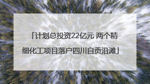 计划总投资22亿元 两个精细化工项目落户四川自贡沿滩