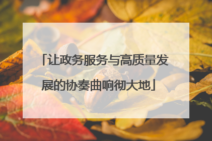 让政务服务与高质量发展的协奏曲响彻大地