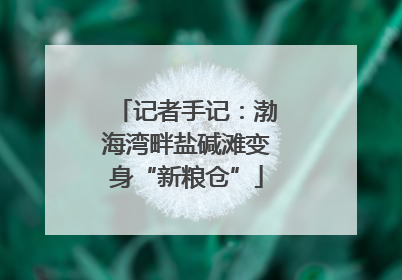 记者手记：渤海湾畔盐碱滩变身“新粮仓”