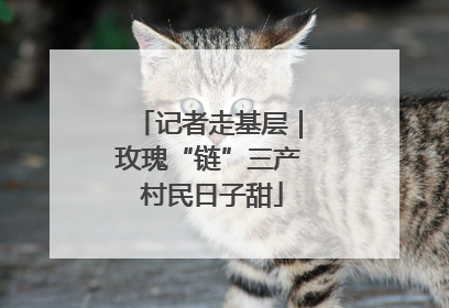 记者走基层｜玫瑰“链”三产 村民日子甜