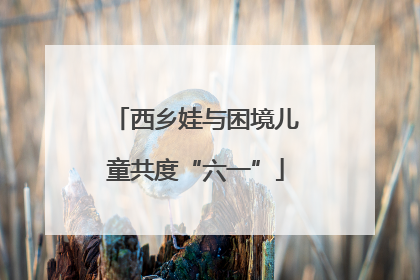 西乡娃与困境儿童共度“六一”