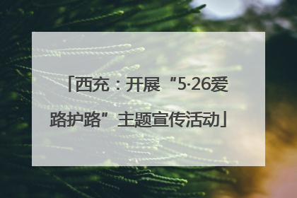西充：开展“5·26爱路护路”主题宣传活动