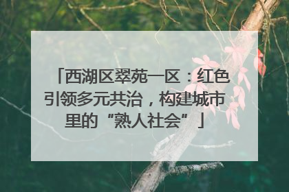 西湖区翠苑一区：红色引领多元共治，构建城市里的“熟人社会”