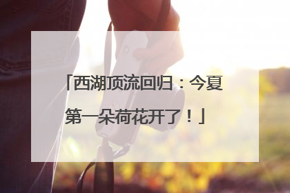 西湖顶流回归：今夏第一朵荷花开了！