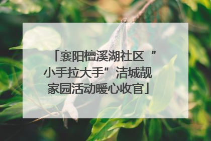 襄阳檀溪湖社区“小手拉大手”洁城靓家园活动暖心收官