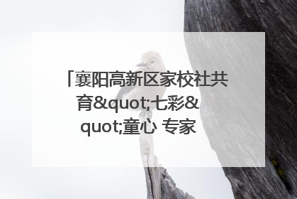 襄阳高新区家校社共育"七彩"童心 专家团支招智慧育儿